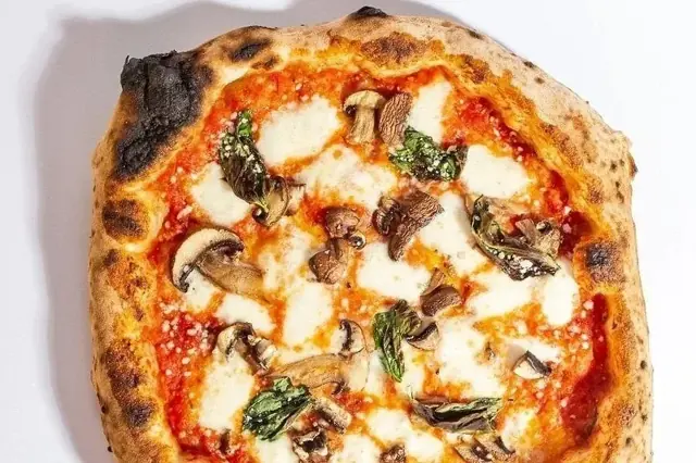 Funghi at Nights & Weekends