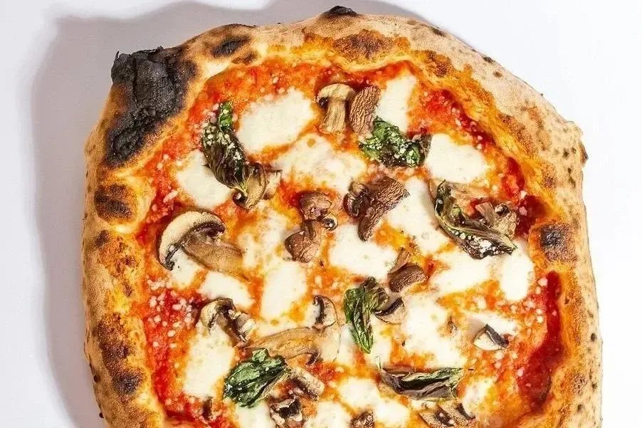 Funghi