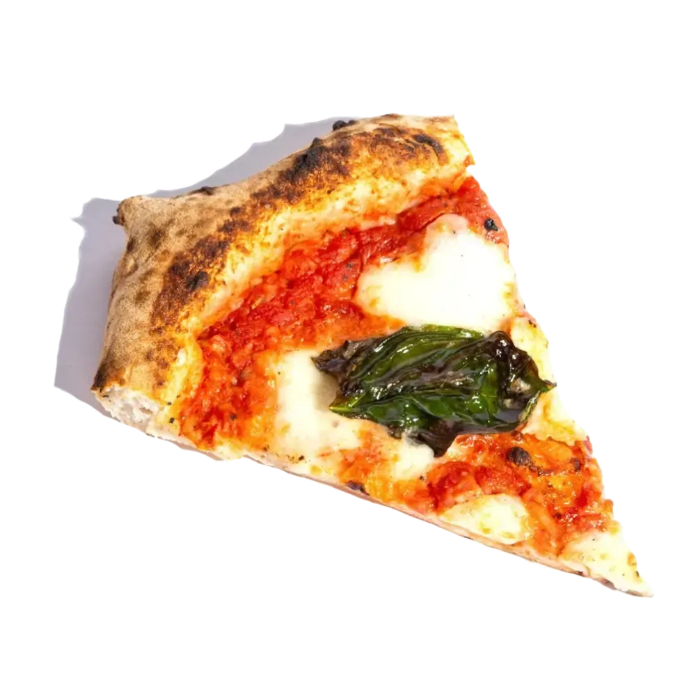 A slice of Neapolitan-style margherita pizza