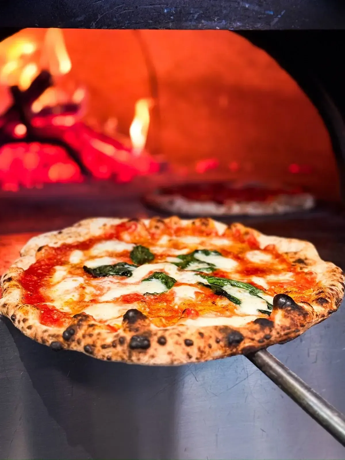 A margherita pizza on a peel inside the wood-fired oven